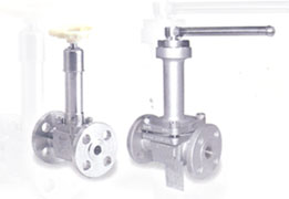 Cryogenic Needle & Ball Valves